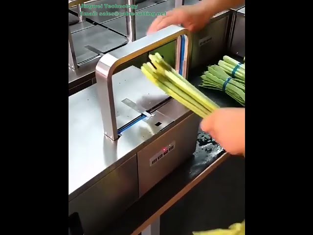 melt OPP Strapping material for banding machine colorful OPP bundling tape Heat sealing Vegetable bu