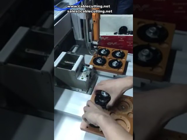 5331 Screwdrivers Robot Fasten Double Y Platforms Screw Tightening Machine Auto Screwing Machine