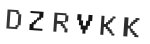 Verification Code Image